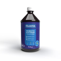 Volantor - Probiotyk dla gołębi - 500ml